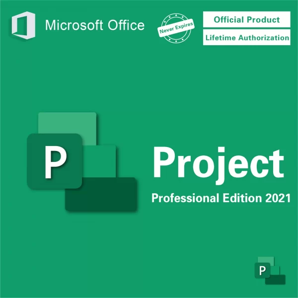 Microsoft Project Professionnel 2021