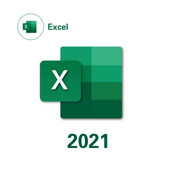 Microsoft Excel 2021