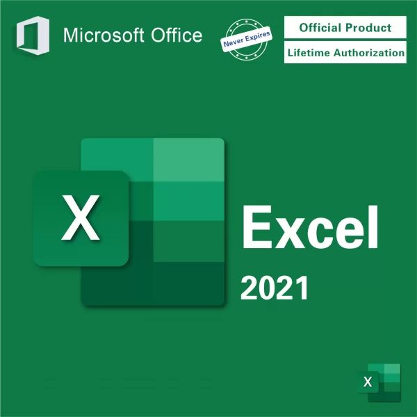 Microsoft Excel 2021