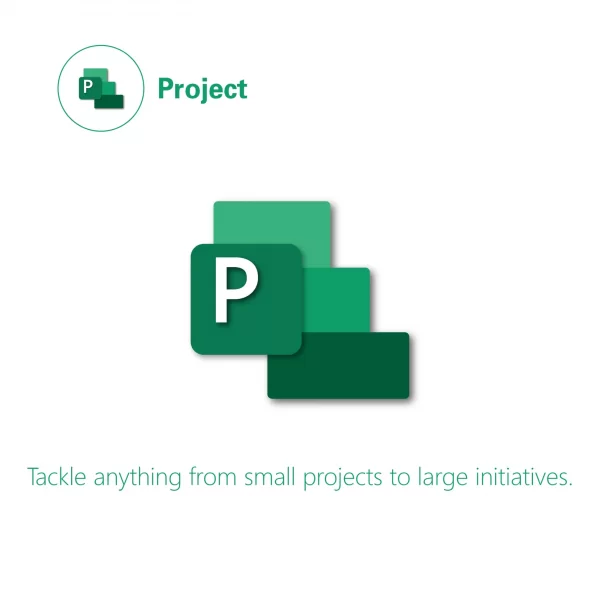 Microsoft Project Professional 2021