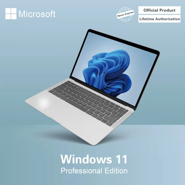 Microsoft Windows 11 Pro