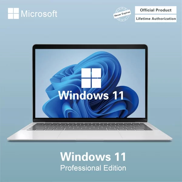 Microsoft Windows 11 Pro