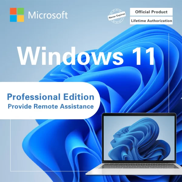 Microsoft Windows 11 Pro retail