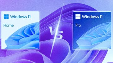 Windows-11-home-vs-pro