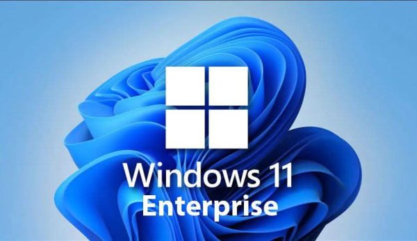 Systèmes Microsoft Windows 11 Entreprise