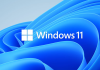 Windows 11 logo