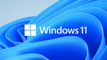 Windows 11 logo