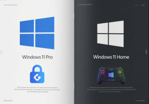 Windows 11 Pro versus Home comparison.